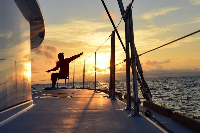 Midnightsun trip - Luxury Catamaran Arctic Princess - Key takeaways before you go