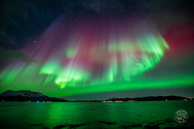Minibus Northern Lights Chase with Photography from Tromsø - Key highlights worth your attention