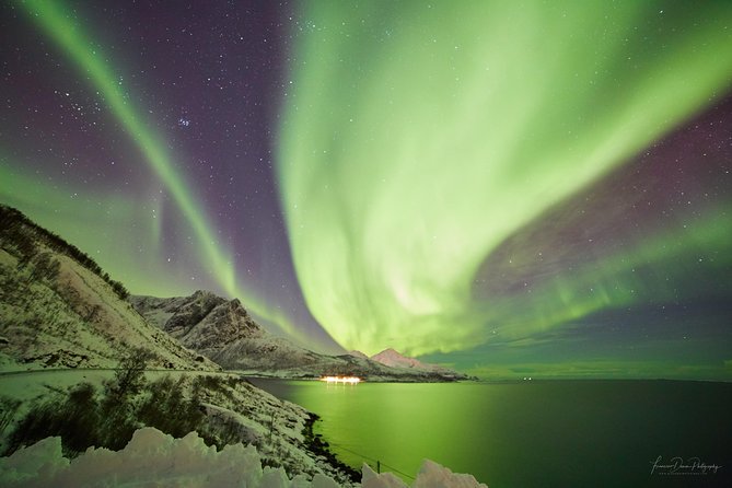 Minivan Northern Lights excursion (8 guests per minivan) - Small-group Tromsø aurora chasing, without the big-bus chaos