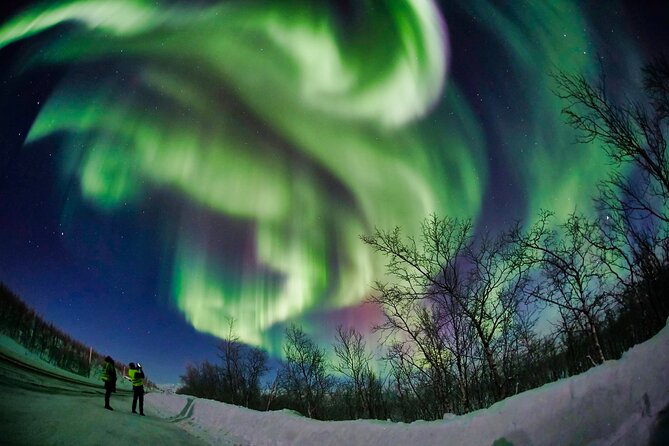 Minivan Northern Lights excursion (8 guests per minivan) - The multi-stop aurora itinerary: why each place is its own test