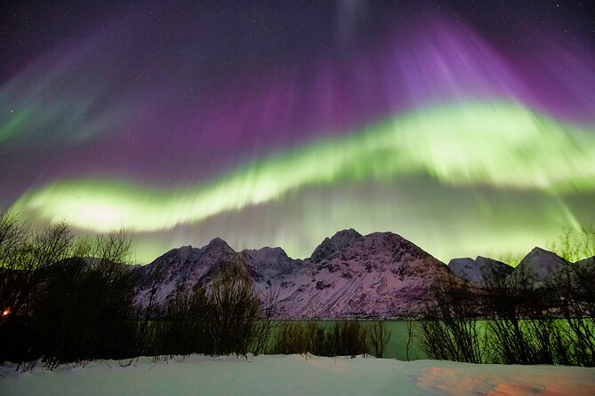Minivan Northern Lights excursion (8 guests per minivan) - What the guide and photo help mean for you