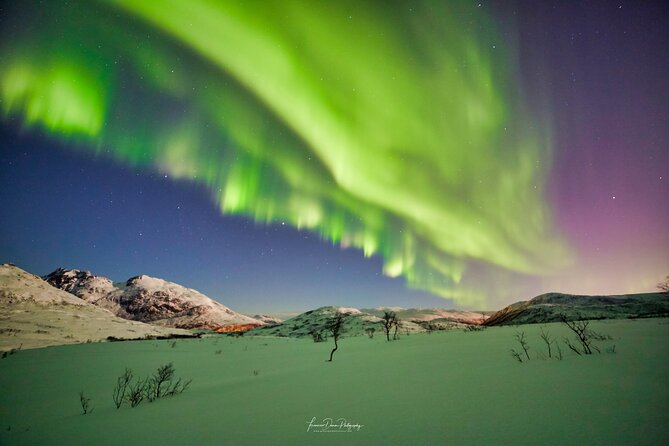 Minivan Northern Lights excursion (8 guests per minivan) - Aurora photography basics, translated for the cold and the dark