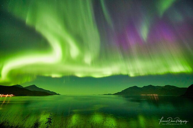 Minivan Northern Lights excursion (8 guests per minivan) - Warm overalls, boots, and the comfort factor on icy roads