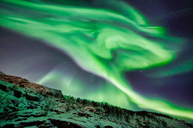 Minivan Northern Lights excursion (8 guests per minivan) - Tea, coffee, and muffins while you wait for the sky