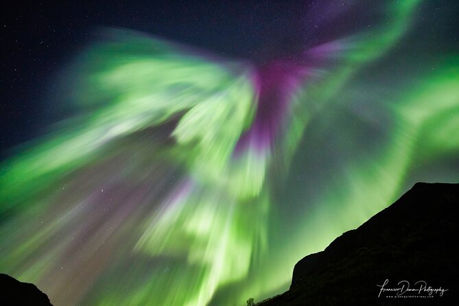Minivan Northern Lights excursion (8 guests per minivan) - Price and value: $204.51 is about maximizing your chances, not just transportation