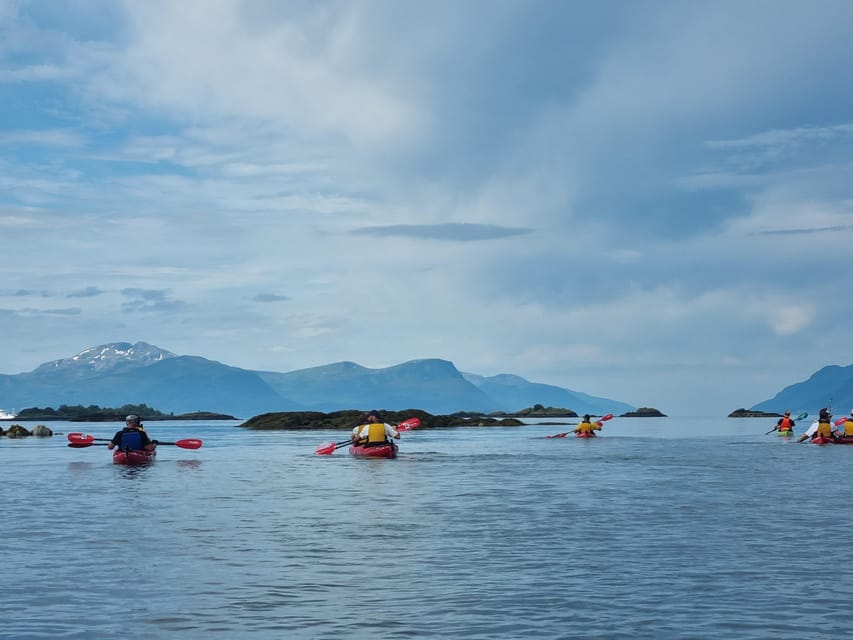 Molde - Guided kayak tour - Who This Tour Is For, and Who Should Skip It