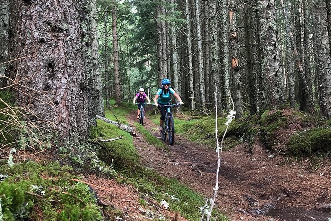 Mountain Bike - Voss Forest - Beginner options: the 10 km gravel double track you can lean on