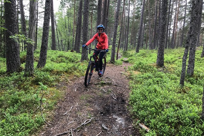Mountain Bike - Voss Forest - The guides: safety coaching, pacing, and smart trail choices