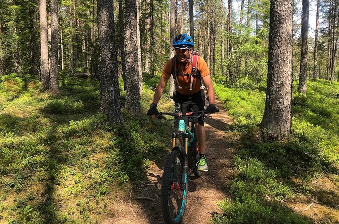 Mountain Bike - Voss Forest - Weather, timing, and how to plan your Voss day