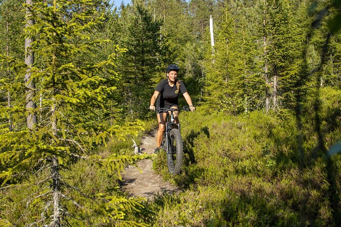 Mountain Bike - Voss Storålsen - Key Highlights You’ll Feel Fast