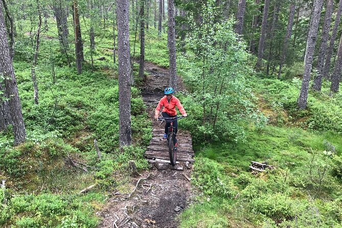 Mountain Bike - Voss Storålsen - Mountain Bike - Voss Storålsen: The Trail Mix That Makes It Fun