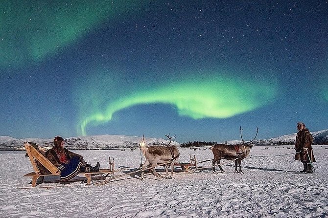 Night Reindeer Sledding with Camp Dinner and Chance of Northern Lights - Key takeaways before you go