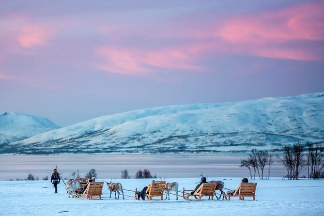 Night Reindeer Sledding with Camp Dinner and Chance of Northern Lights - Dinner in a candlelit hut: what you’ll likely eat