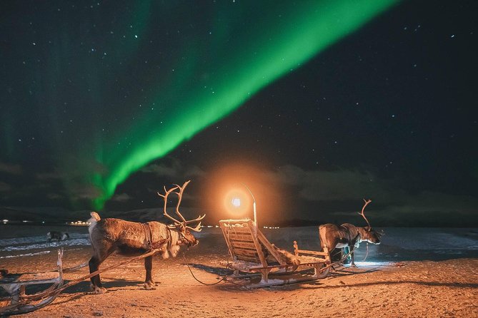 Night Reindeer Sledding with Camp Dinner and Chance of Northern Lights - The Sámi storytelling portion is the heart of the night