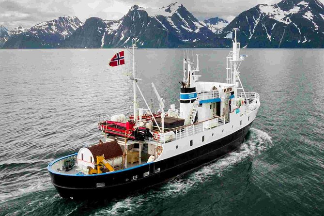 Northern Light cruise on the vintage vessel MS Strønstad - Who This Tromsø Northern Lights Cruise Fits Best