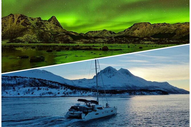 Northern Light Cruise With Luxury Catamaran in Tromso, Norway - Key highlights worth your attention