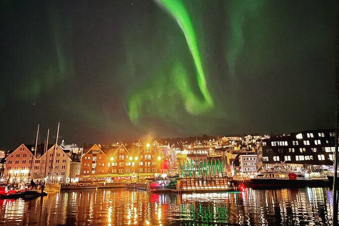 Northern Light Cruise With Luxury Catamaran in Tromso, Norway - If the aurora doesn’t show: how you still get a good night