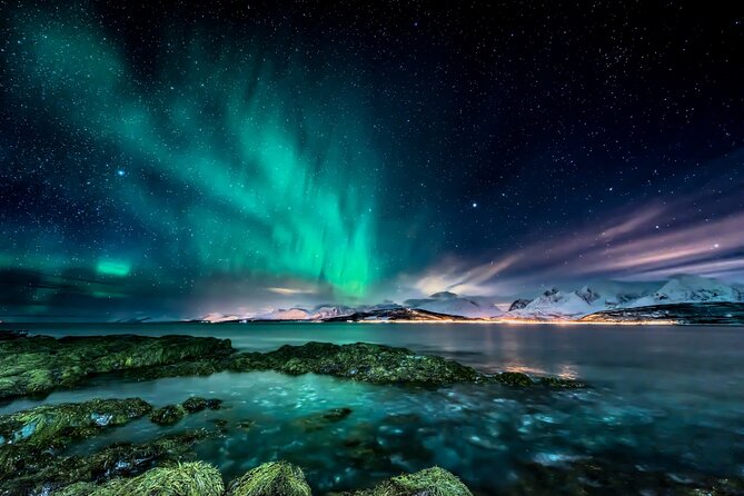 Northern light hunt in Tromsø. WiFi included - Key Points at a Glance