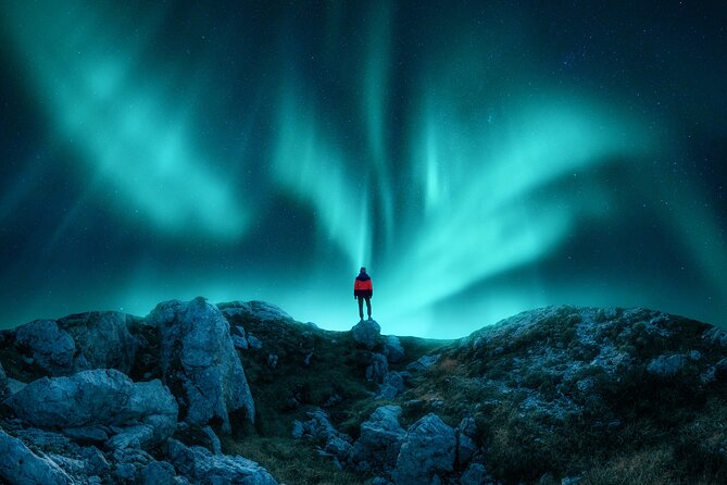Northern light hunt in Tromsø. WiFi included - Tromsø Northern Lights, The Minibus Hunt That Doesn’t Feel Like a Factory Line
