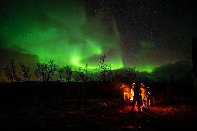 Northern light hunt in Tromsø. WiFi included - Getting Started at Kaigata 4 and What the Evening Timing Feels Like