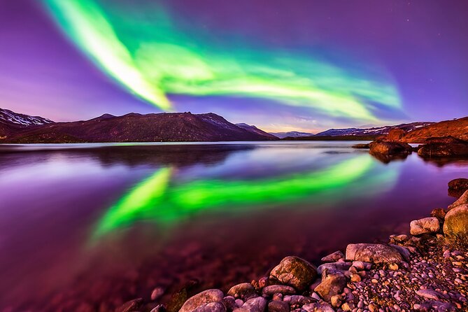 Northern light hunt in Tromsø. WiFi included - Restrooms, Stops, and the Real Life of a Night Hunt