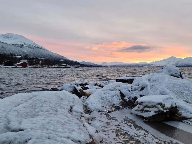 Northern Lights Adventure in Tromsø with Free Photos - Photographer-led aurora photos you can actually keep
