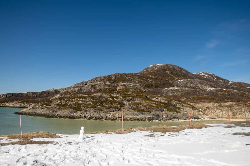 Northern Lights Adventure in Tromsø with Free Photos - What guides teach you while the sky decides