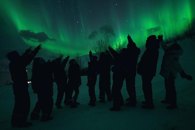 Northern Lights Big Bus Chase with Chasing Lights - Tromsø hunting ground, plus the possible long-haul detour