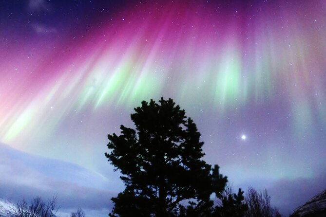 Northern Lights Big Bus Chase with Free Photos - Key Things I’d Focus On Before You Go