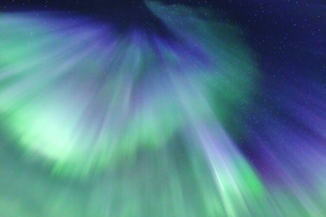 Northern Lights Big Bus Chase with Free Photos - Price and Value for a Full, Photo-Enhanced Aurora Night