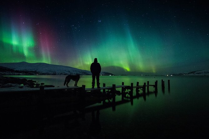 Northern Lights Big Bus Chase with Free Photos - Should You Book This Tromsø Northern Lights Bus Chase?