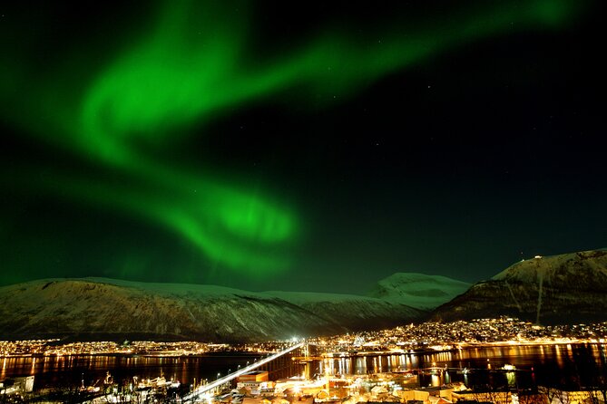 Northern Lights Chase by Bus in Tromso - Key Points That Matter Before You Go