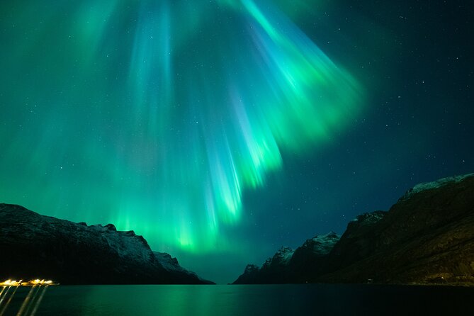Northern Lights Chase by Bus in Tromso - The Aurora Chase: How You Improve Your Odds Without Losing Your Mind