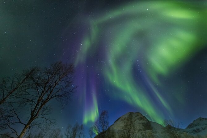 Northern Lights Chase by Bus in Tromso - Photos and Tripods: Getting Results Even If the Show Is Subtle