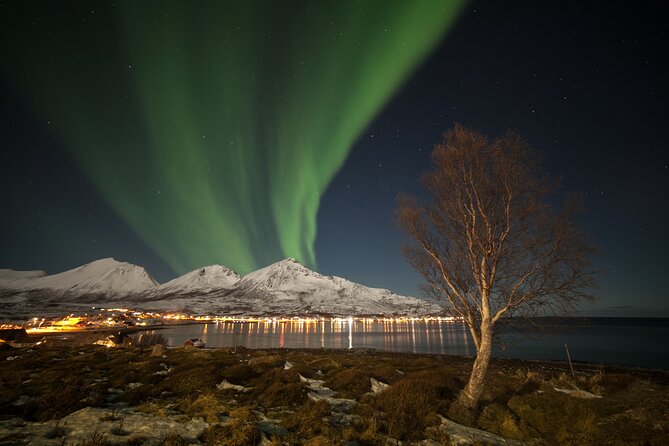 Northern Lights Chase by Bus in Tromso - Price Check: Is $128.88 Worth It for an 8-Hour Aurora Attempt?
