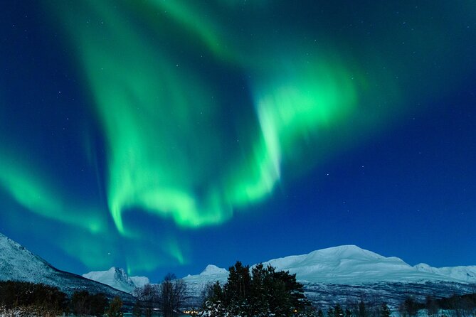 Northern Lights Chase by Bus in Tromso - Bus Chasing Outside the City: Why the Ride Itself Is Part of the Value