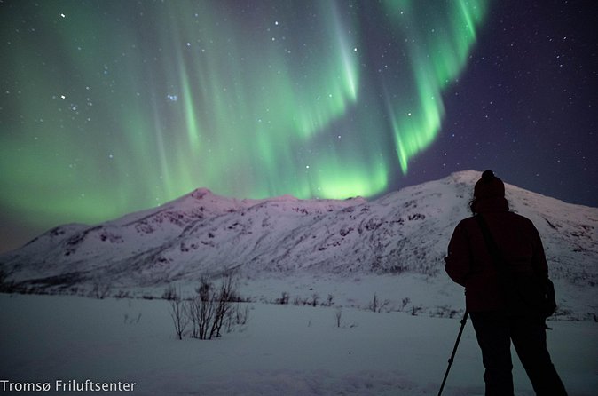 Northern Lights Chase with Authentic North Norwegian Charm - Price and value: why $210.54 might be a smart spend