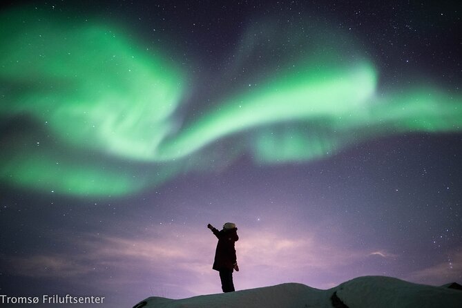 Northern Lights Chase with Authentic North Norwegian Charm - Who this tour suits best