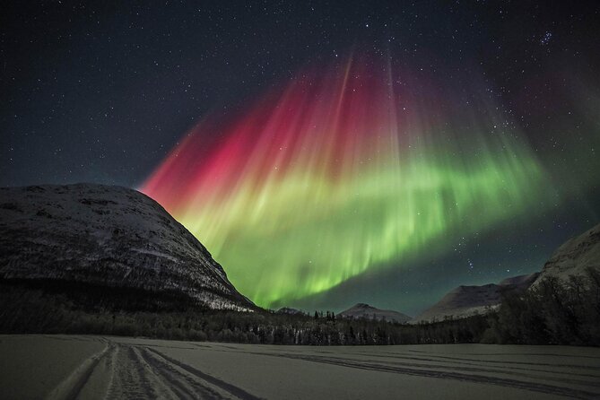 Northern Lights Chase with Photography from Tromsø - Key things to know before you go