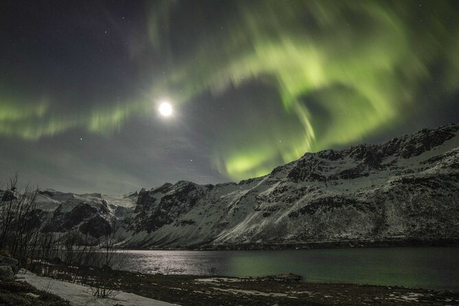 Northern Lights Chase with Photography from Tromsø - Hot beverages, snacks, and the long wait plan