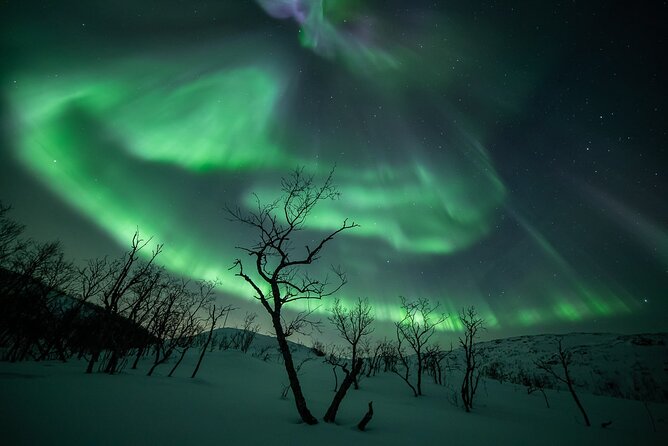 Northern Lights Expedition Tromsø - 6 people - Arctic Photo Guide - Getting out of Tromsø: the 4x4 Land Cruiser launch
