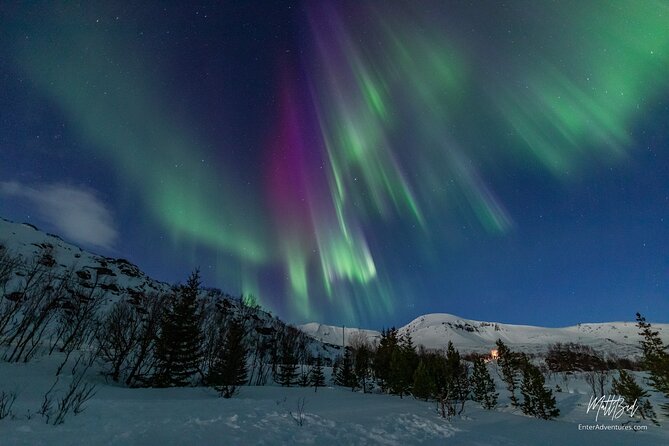 Northern Lights Guided Bus Tour with Free Photos - Key highlights to look for