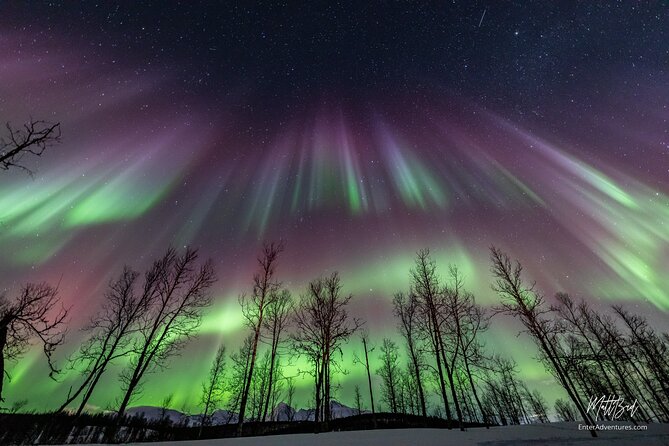 Northern Lights Guided Bus Tour with Free Photos - Tromso at 6 pm: what this Northern Lights bus tour is really about