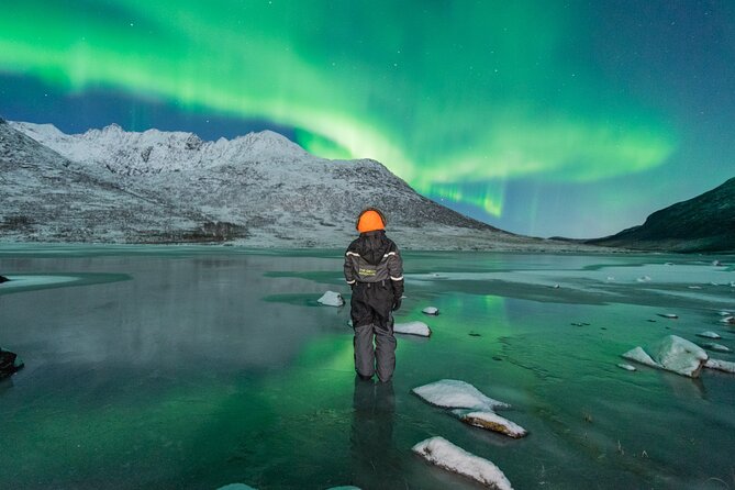Northern Lights Hunt with The Green Adventure - photos included - Warm Food, Thermal Suits, and Campfire Breaks That Keep You Comfortable