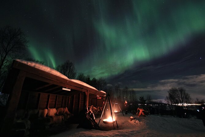 Northern Lights Husky Visit - Why This Husky and Aurora Camp Fits a Single Evening in Tromsø