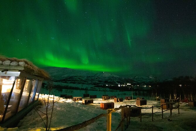 Northern Lights Husky Visit - Husky Kennel Time With 200 Dogs: What You’ll Actually Do