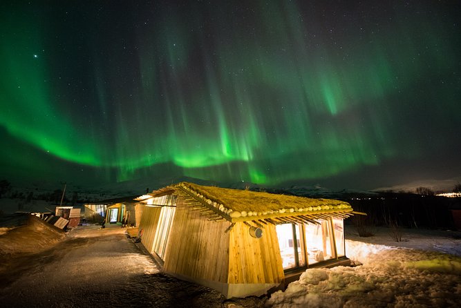 Northern Lights Husky Visit - Price and What $193.27 Buys You (No Mystery Fees)