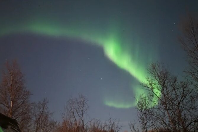 Northern Lights Minibus Chase Max 16 Person In Group - Guide or Driver, and How the Best Nights Differ