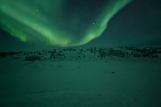 Northern Lights Minibus Chase Max 16 Person In Group - Minibus Size, Group Feel, and What Max 15 Actually Means