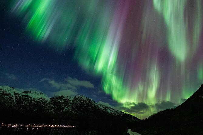 Northern Lights Minibus with Photos Dinner Warm suits - Price and value: what $235.71 buys you in Tromsø winter